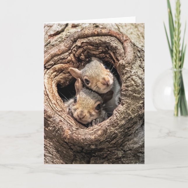 Cutest Baby Animals | Two Young Squirrels Card (Front)