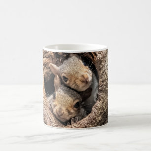 Cutest Baby Animals Two Young Squirrels Coffee Mug