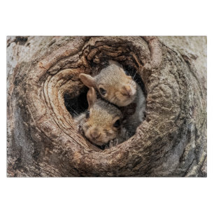 Cutest Baby Animals   Two Young Squirrels Cutting Board