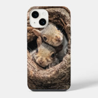 Cutest Baby Animals | Two Young Squirrels