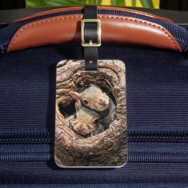 Cutest Baby Animals | Two Young Squirrels Luggage Tag (Front Insitu 2)