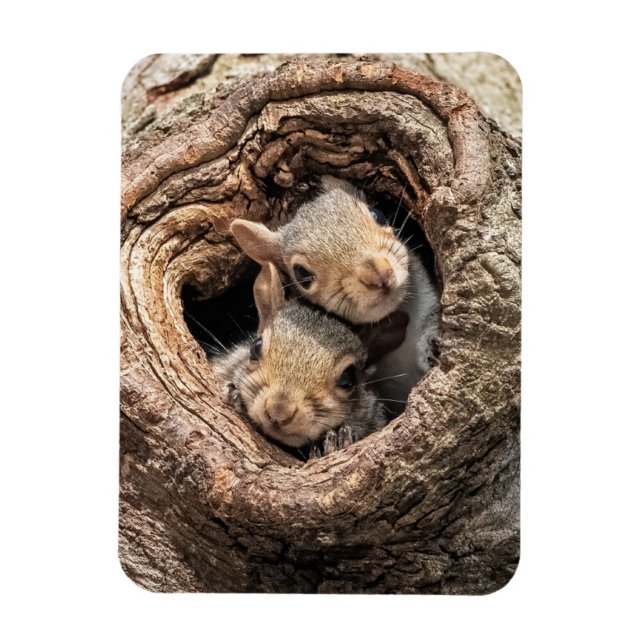 Cutest Baby Animals | Two Young Squirrels Magnet (Vertical)
