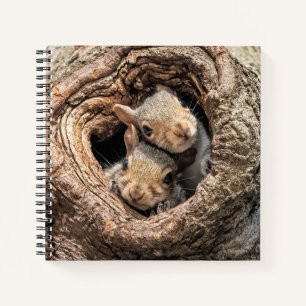 Cutest Baby Animals   Two Young Squirrels Notebook