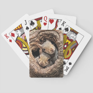 Cutest Baby Animals Two Young Squirrels Playing Cards