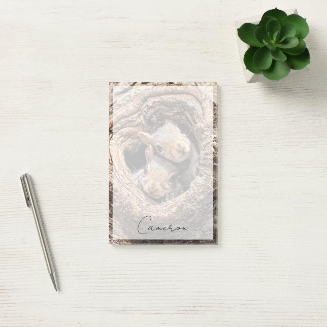 Cutest Baby Animals | Two Young Squirrels Post-it Notes (Office)