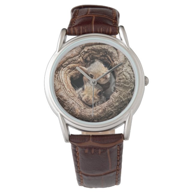 Cutest Baby Animals | Two Young Squirrels Watch (Front)