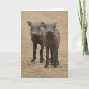 Cutest Baby Animals   Two Young Warthogs Card