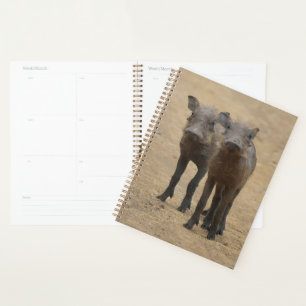 Cutest Baby Animals Two Young Warthogs Planner