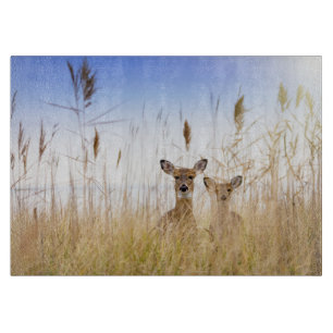 Cutest Baby Animals   Two Young White Tailed Deer Cutting Board