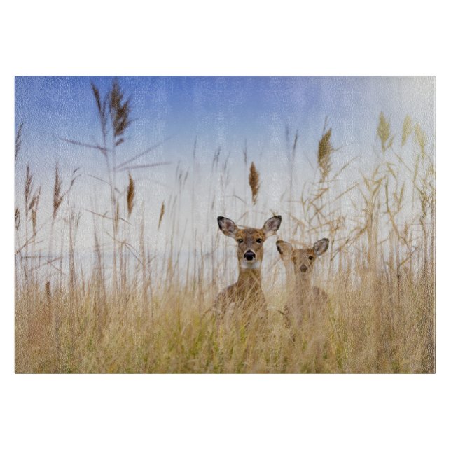Cutest Baby Animals | Two Young White Tailed Deer Cutting Board (Front)
