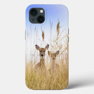 Cutest Baby Animals Two Young White Tailed Deer iPhone 13 Case