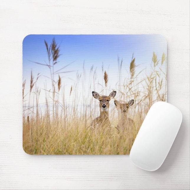 Cutest Baby Animals | Two Young White Tailed Deer Mouse Pad (With Mouse)