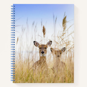 Cutest Baby Animals   Two Young White Tailed Deer Notebook