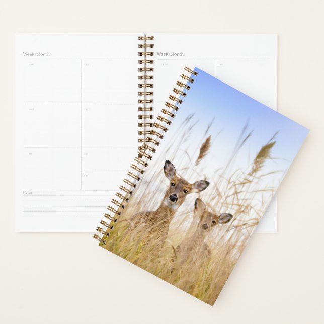 Cutest Baby Animals | Two Young White Tailed Deer Planner (Display)