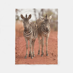 Cutest Baby Animals Two Young Zebras Fleece Blanket