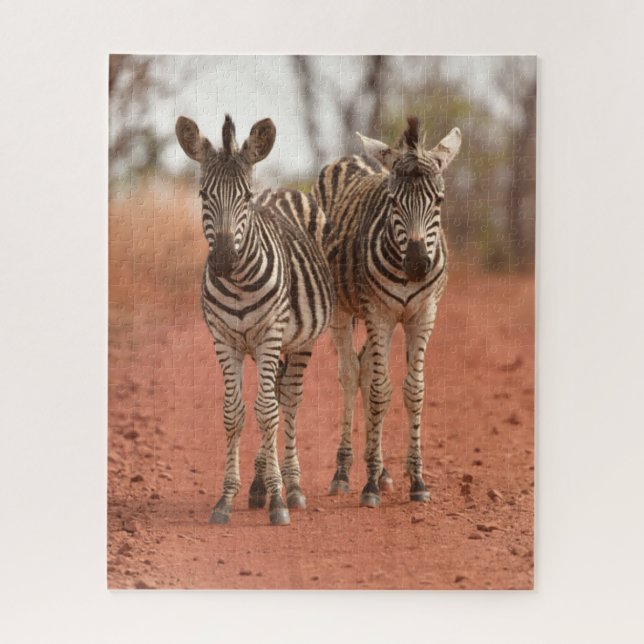Cutest Baby Animals | Two Young Zebras Jigsaw Puzzle (Vertical)
