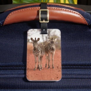 Cutest Baby Animals   Two Young Zebras Luggage Tag