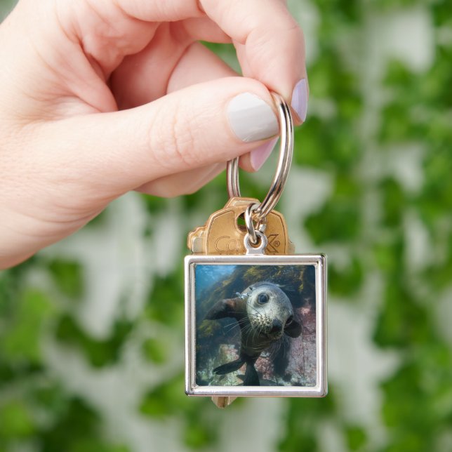 Cutest Baby Animals | Underwater Cape Fur Seal Key Ring (Hand)