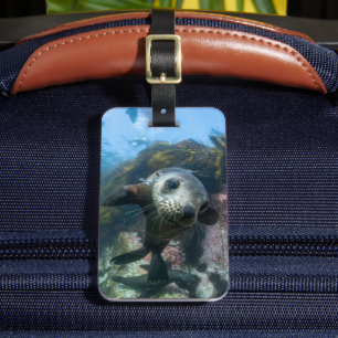 Cutest Baby Animals Underwater Cape Fur Seal Luggage Tag