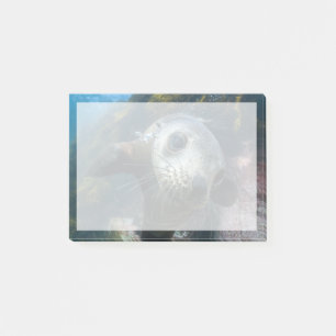 Cutest Baby Animals Underwater Cape Fur Seal Post-it Notes