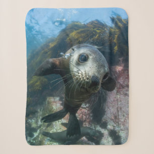 Cutest Baby Animals Underwater Cape Fur Seal Sherpa Blanket