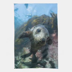 Cutest Baby Animals Underwater Cape Fur Seal Tea Towel