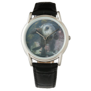 Cutest Baby Animals Underwater Cape Fur Seal Watch