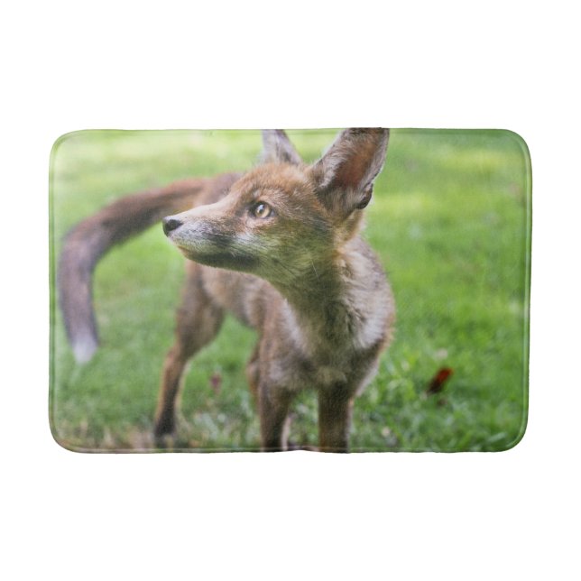Cutest Baby Animals | Urban Fox Bath Mat (Front)