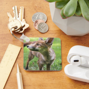 Cutest Baby Animals   Urban Fox Key Ring