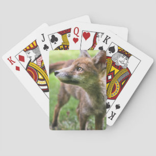 Cutest Baby Animals Urban Fox Playing Cards