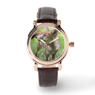 Cutest Baby Animals Urban Fox Watch