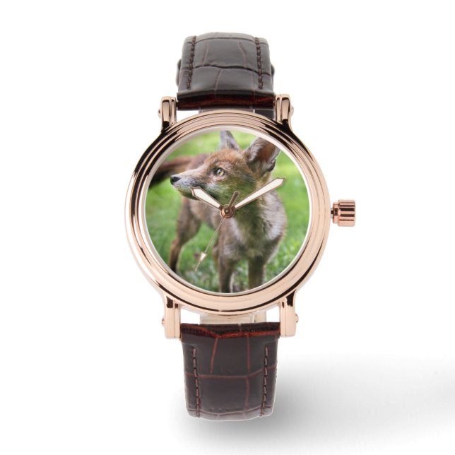 Cutest Baby Animals | Urban Fox Watch (Front)