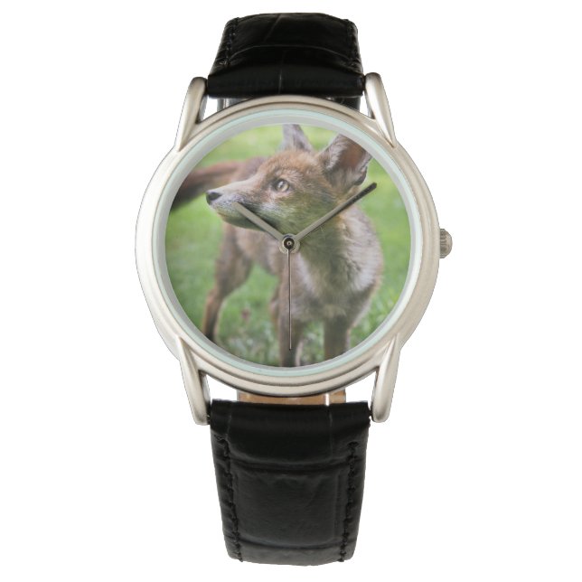 Cutest Baby Animals | Urban Fox Watch (Front)