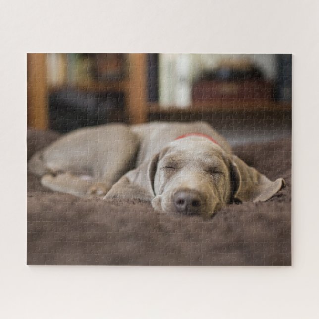 Cutest Baby Animals | Weimaraner Puppy Sleeping Jigsaw Puzzle (Horizontal)