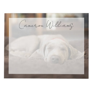 Cutest Baby Animals   Weimaraner Puppy Sleeping Notepad