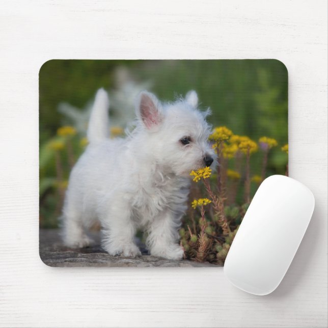 Cutest Baby Animals | West Highland White Terrier Mouse Pad (With Mouse)