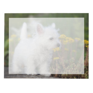 Cutest Baby Animals   West Highland White Terrier Notepad