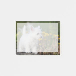 Cutest Baby Animals   West Highland White Terrier Post-it Notes