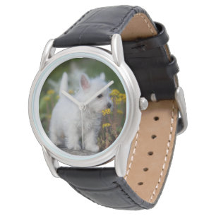 Cutest Baby Animals   West Highland White Terrier Watch