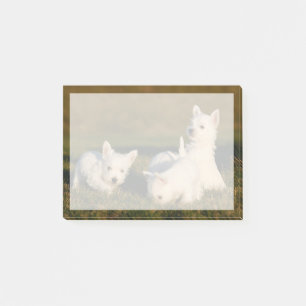 Cutest Baby Animals   West Highland White Terriers Post-it Notes
