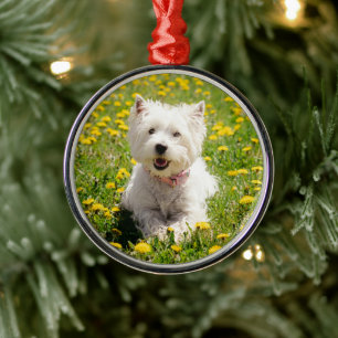 Cutest Baby Animals Westie Dog in Dandelions Metal Tree Decoration