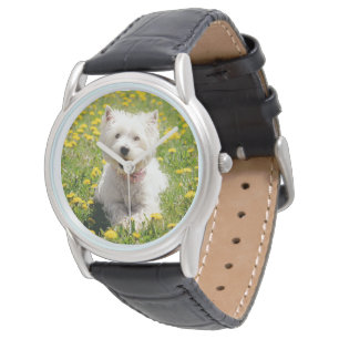 Cutest Baby Animals Westie Dog in Dandelions Watch