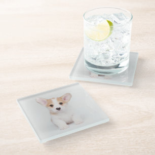 Cutest Baby Animals White Corgi Puppy Glass Coaster