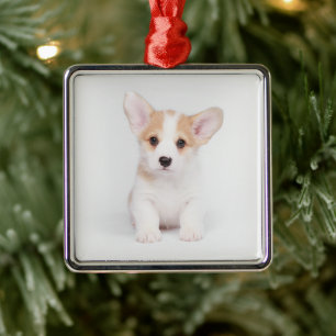 Cutest Baby Animals White Corgi Puppy Metal Tree Decoration