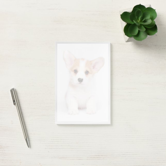 Cutest Baby Animals | White Corgi Puppy Post-it Notes (Office)