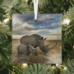 Cutest Baby Animals White Rhino & Calf Glass Tree Decoration