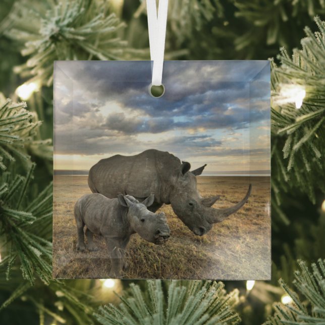 Cutest Baby Animals | White Rhino & Calf Glass Tree Decoration (Insitu)