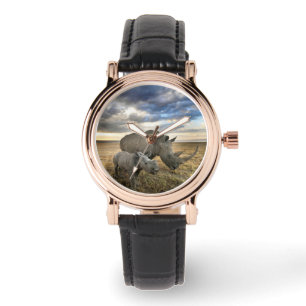 Cutest Baby Animals White Rhino & Calf Watch