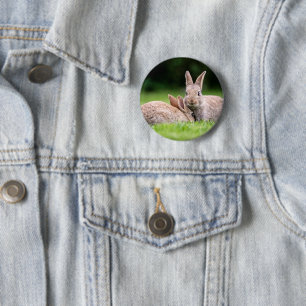 Cutest Baby Animals   Wild Bunny Rabbits 6 Cm Round Badge