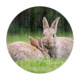 Cutest Baby Animals   Wild Bunny Rabbits Cutting Board